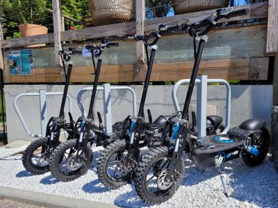 Trottinettes électriques