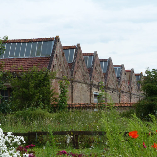 Moulins bleus
